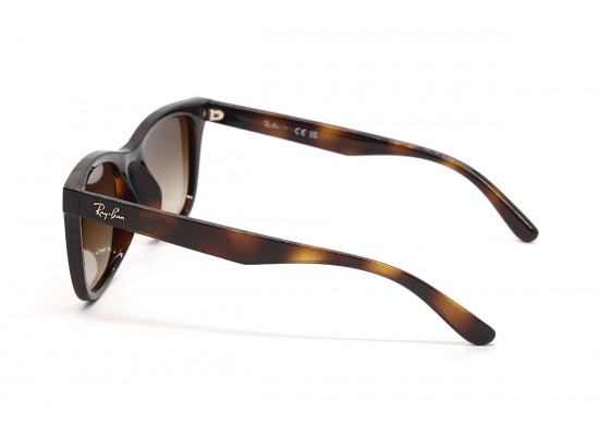 Сонцезахисні окуляри Ray Ban 4420 710/13 65