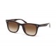 Сонцезахисні окуляри Ray Ban 4420 710/13 65