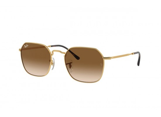 Сонцезахисні окуляри Ray Ban 3694 001/51 55