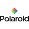 Polaroid