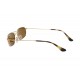  Сонцезахисні окуляри RAY-BAN 3947 001/33 BROWN